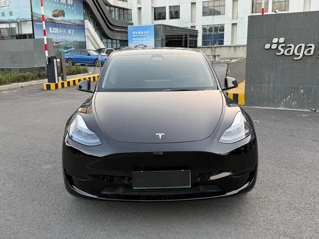 Tesla Model Y 2023 из CN, фото 6