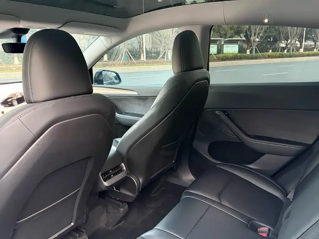 Tesla Model Y 2023 из CN, фото 4