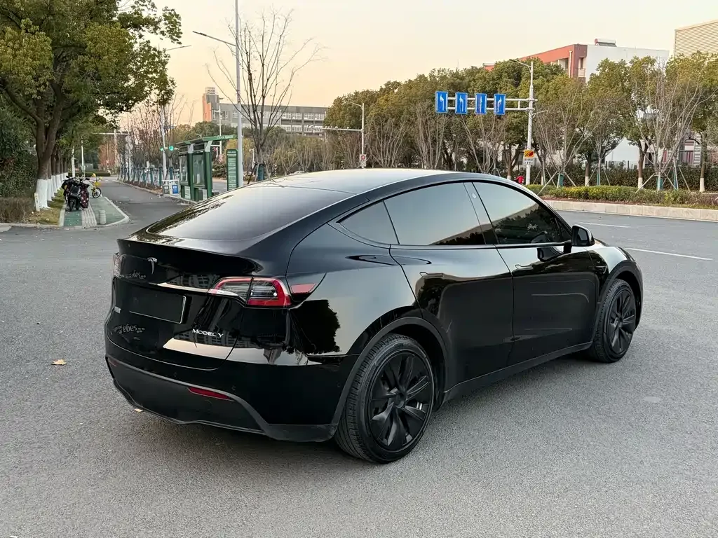 Tesla Model Y 2023 из CN, фото 8