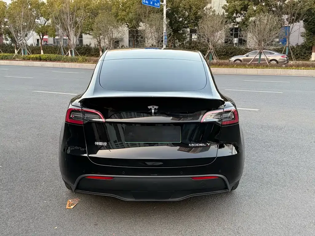 Tesla Model Y 2023 из CN, фото 9