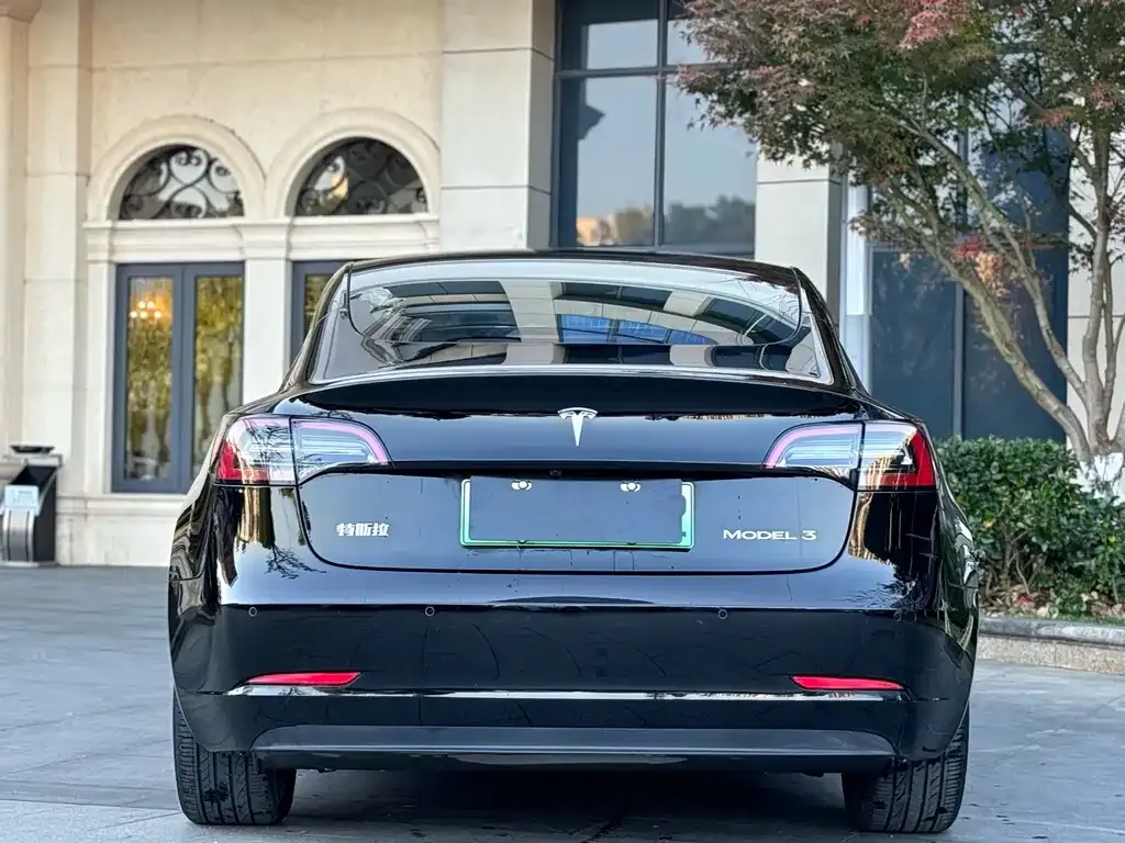 Tesla Model 3 2021 из CN, фото 9
