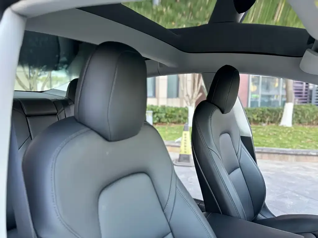 Tesla Model 3 2021 из CN, фото 5