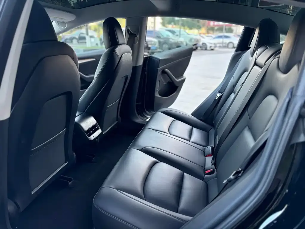Tesla Model 3 2021 из CN, фото 3