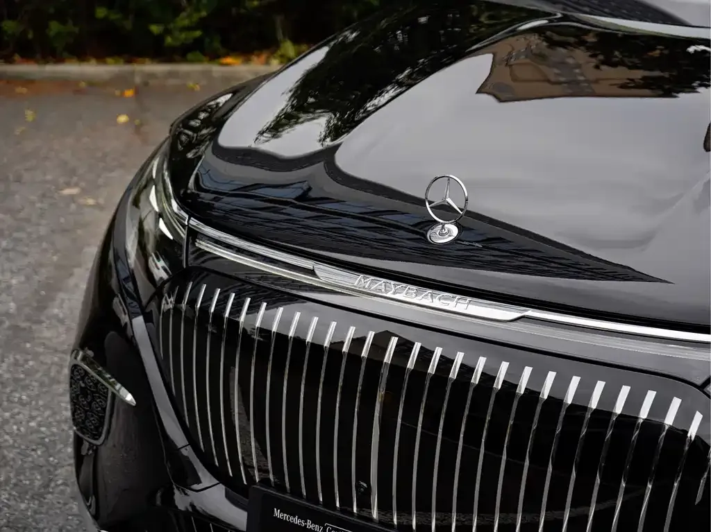 Mercedes-Benz EQS SUV 2025 из CN, фото 9