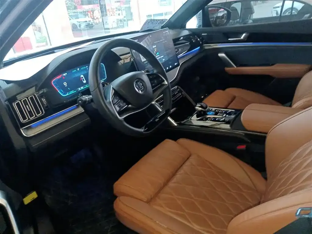 BYD Tang New Energy 2023 из CN, фото 10