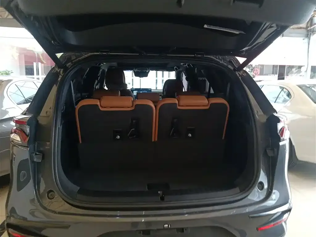 BYD Tang New Energy 2023 из CN, фото 3