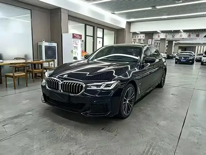 BMW 5 Series 2022 из CN, фото 1