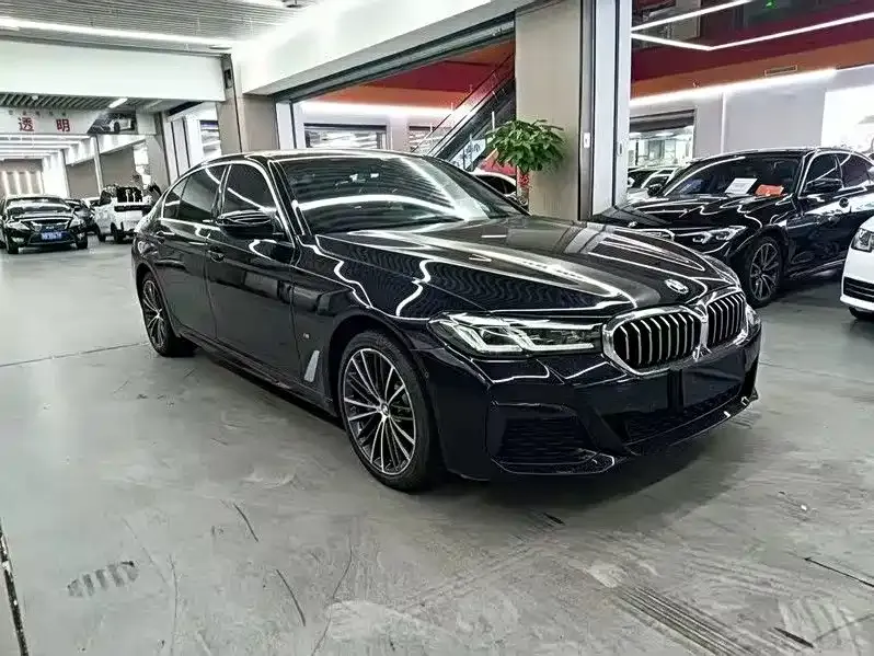 BMW 5 Series 2022 из CN, фото 9