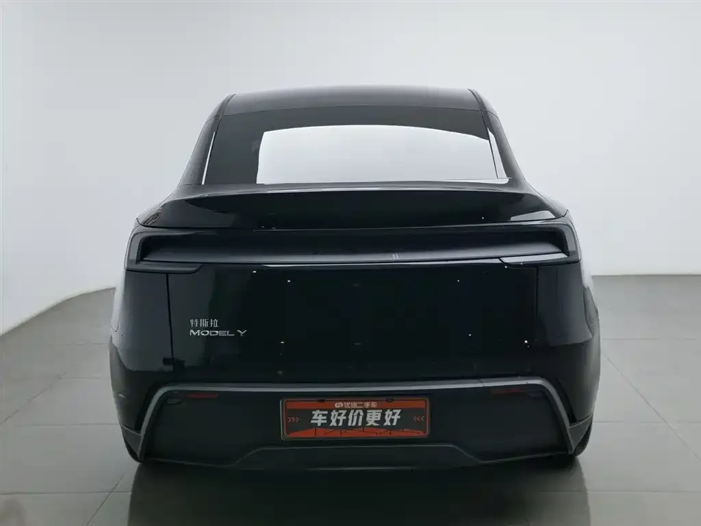 Tesla Model Y 2025 из CN, фото 5