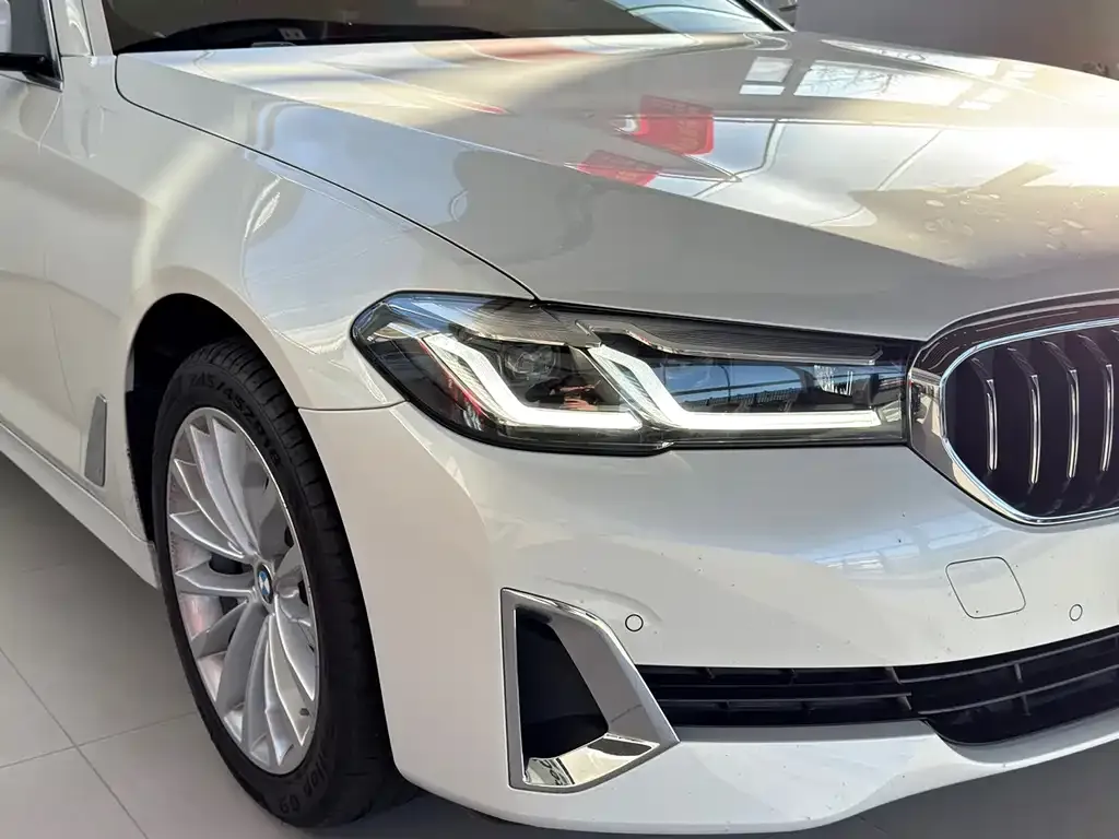 BMW 5 Series 2021 из CN, фото 5