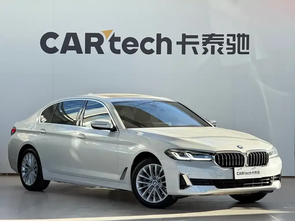 BMW 5 Series 2021 из CN, фото 6