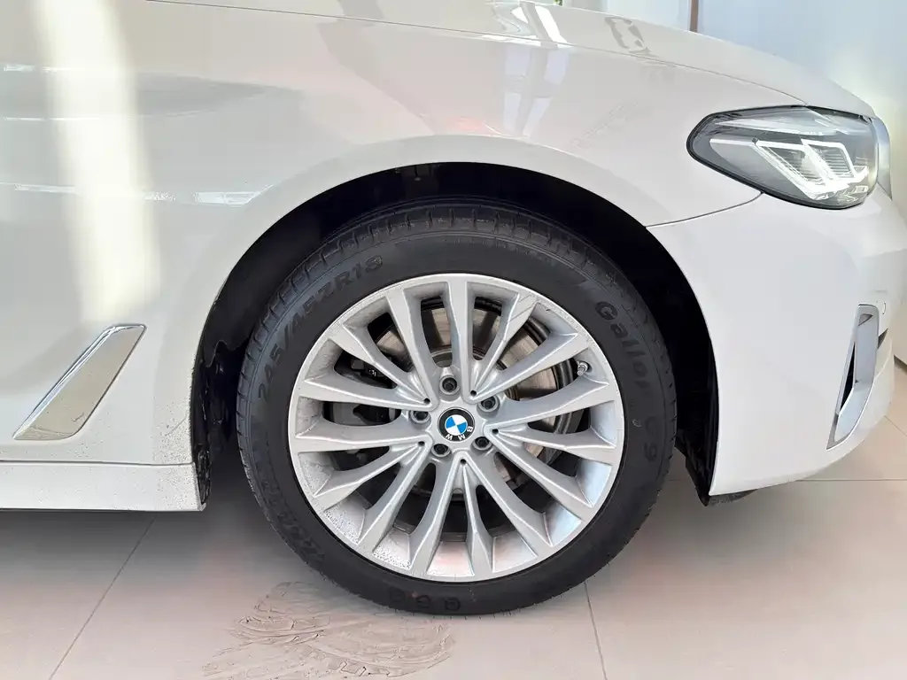 BMW 5 Series 2021 из CN, фото 9