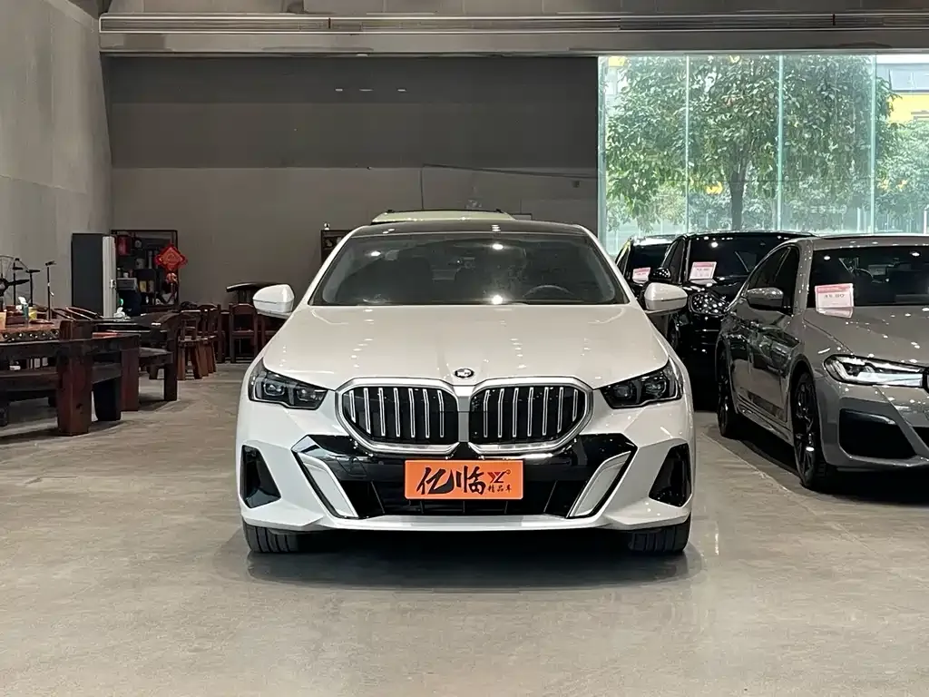 BMW 5 Series 2024 из CN, фото 5