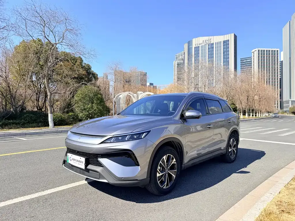 BYD Pro New Energy 2026 из CN, фото 1