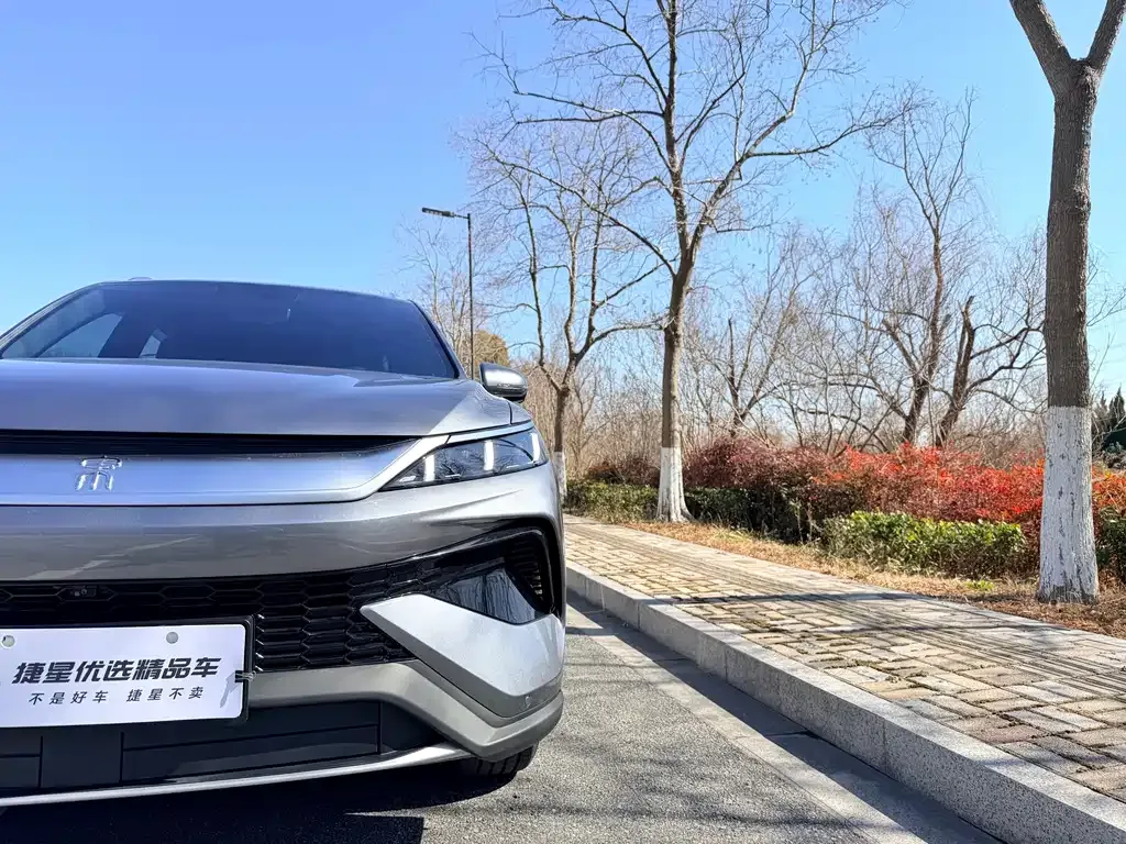 BYD Pro New Energy 2026 из CN, фото 7