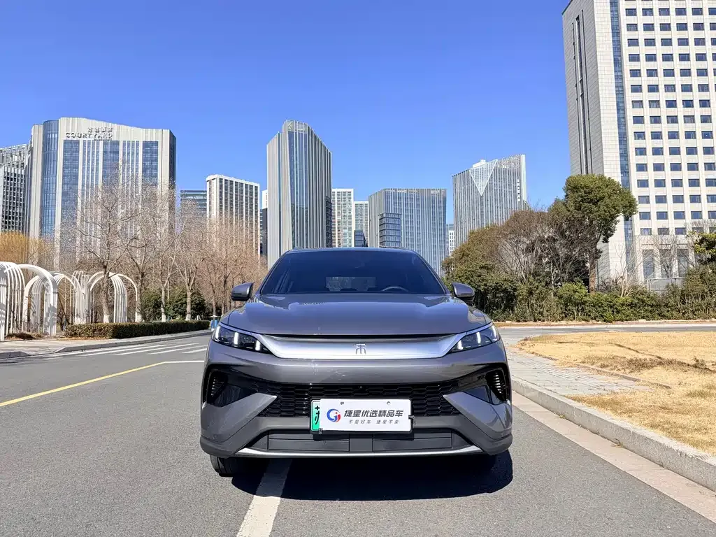 BYD Pro New Energy 2026 из CN, фото 9