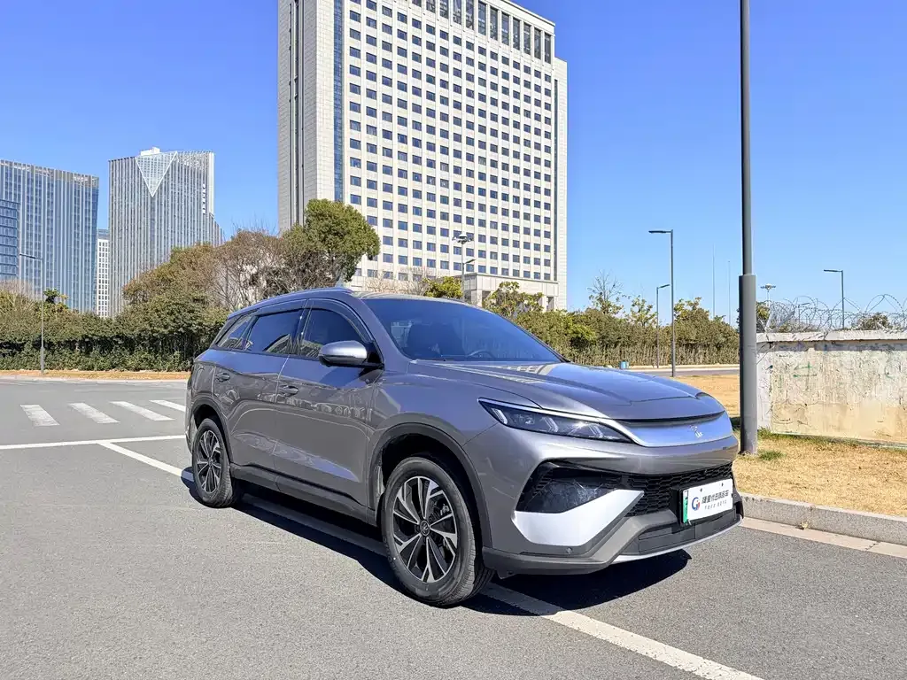 BYD Pro New Energy 2026 из CN, фото 3