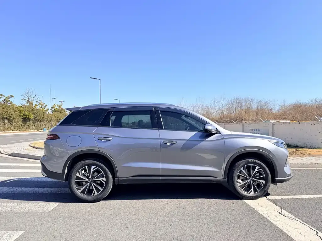 BYD Pro New Energy 2026 из CN, фото 5