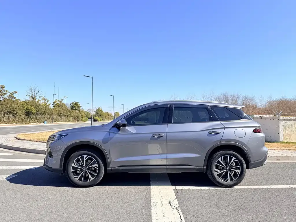 BYD Pro New Energy 2026 из CN, фото 10
