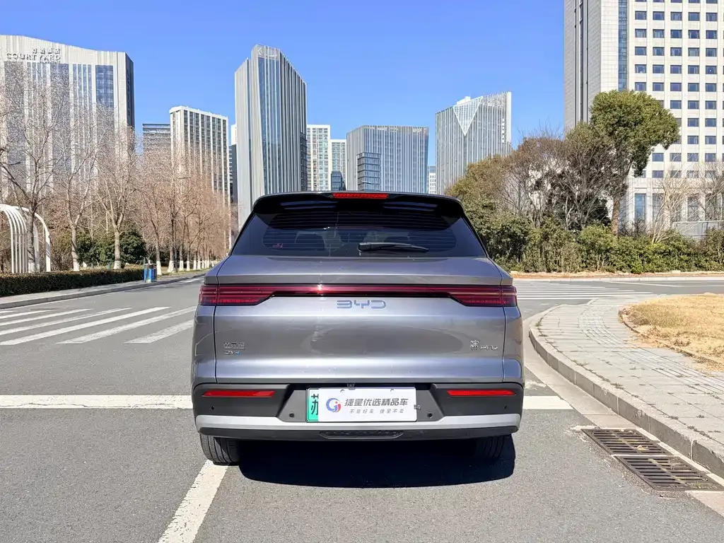 BYD Pro New Energy 2026 из CN, фото 4