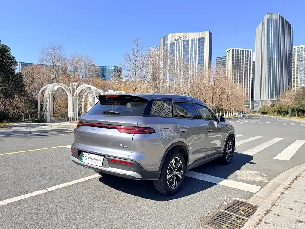 BYD Pro New Energy 2026 из CN, фото 2