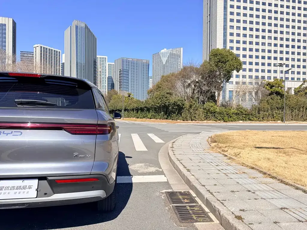 BYD Pro New Energy 2026 из CN, фото 6