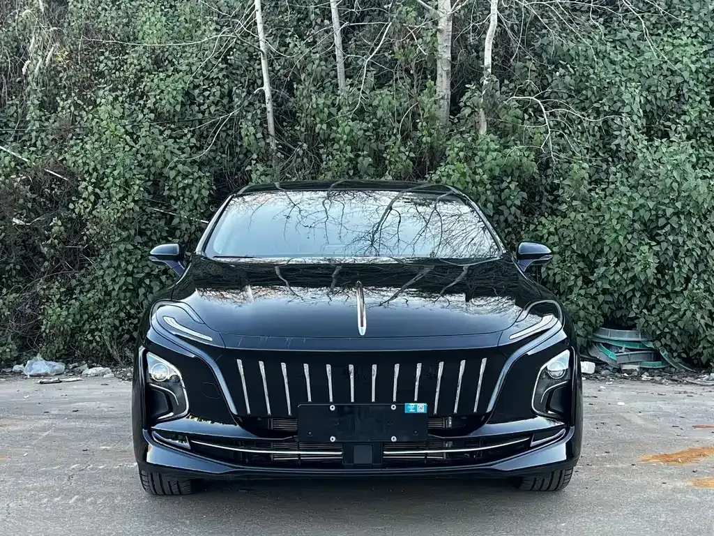 Hongqi E-QM5 — фото 9