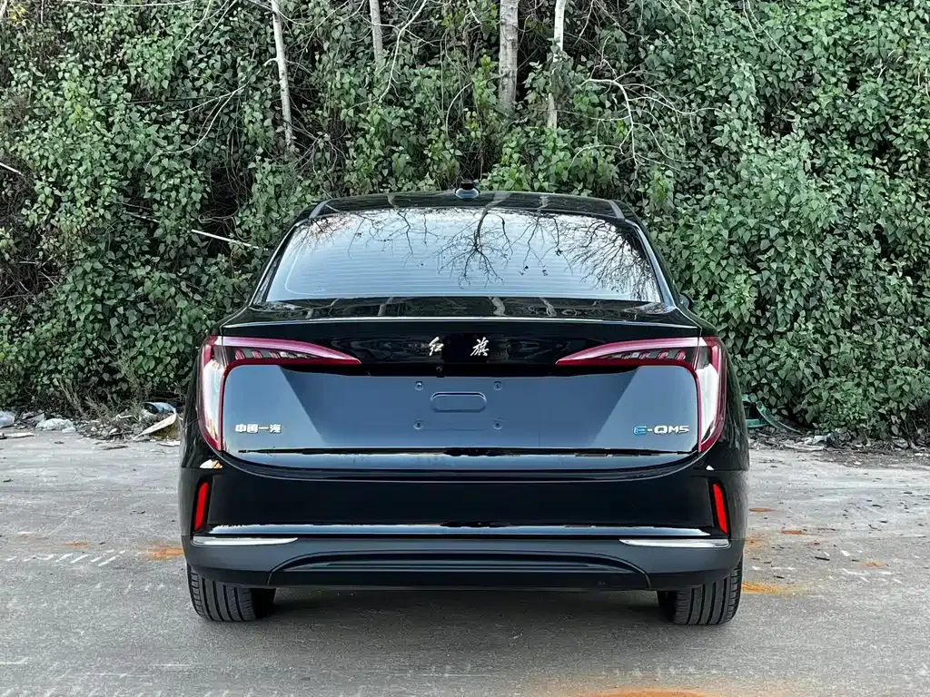 Hongqi E-QM5 — фото 4