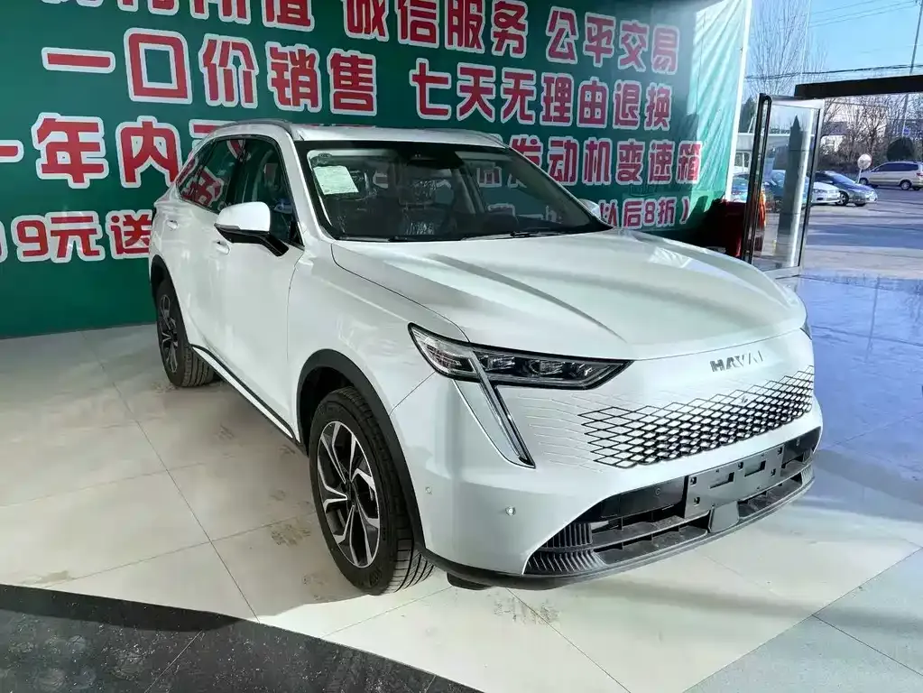 Haval Xiaolong MAX — фото 10