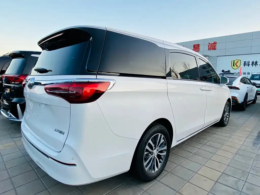 Buick GL8 2023 из CN, фото 8