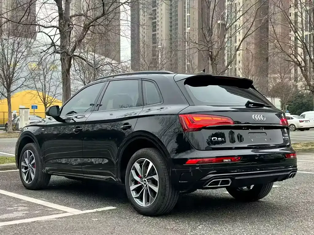 Audi Q5L 2024 из CN, фото 4