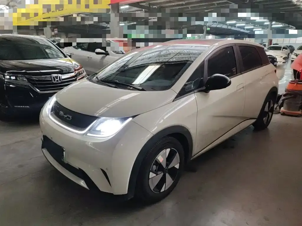 BYD Dolphin 2023 из CN, фото 1