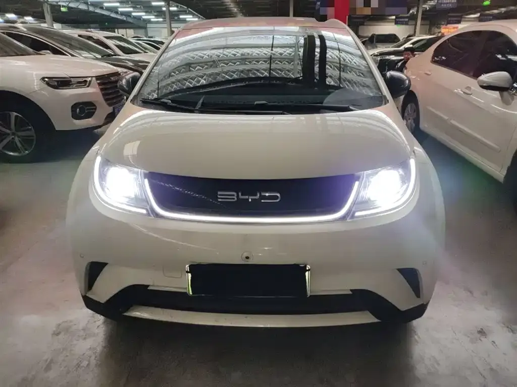 BYD Dolphin 2023 из CN, фото 4