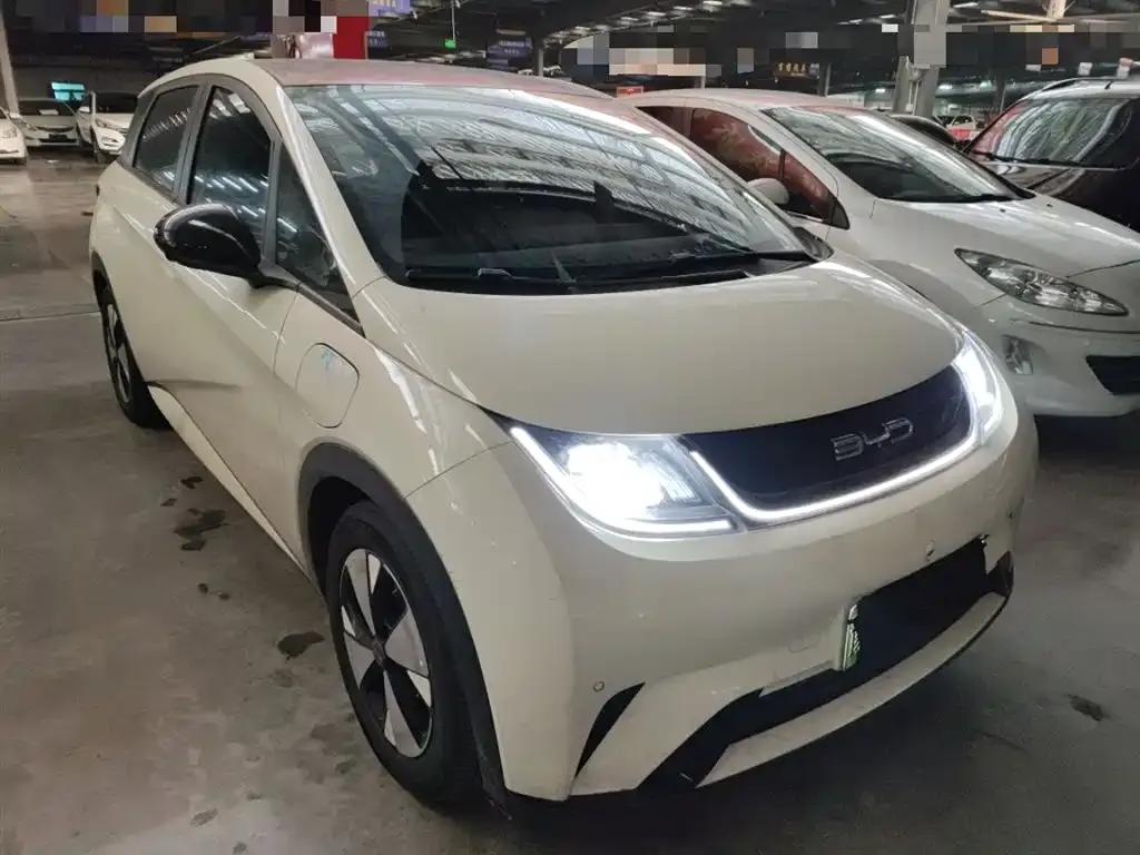 BYD Dolphin 2023 из CN, фото 5