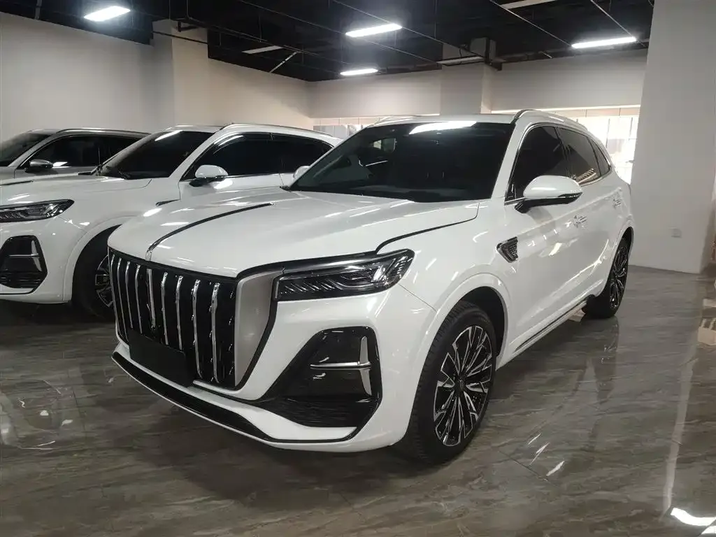 Hongqi HS5 2023 из CN, фото 10