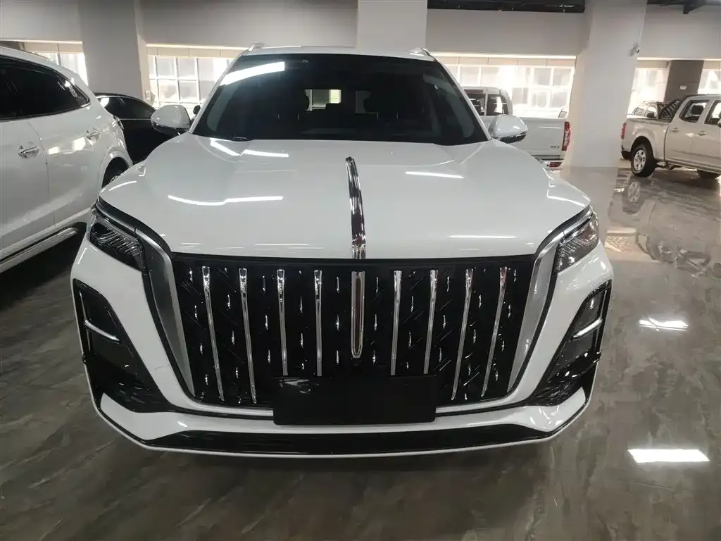Hongqi HS5 2023 из CN, фото 5