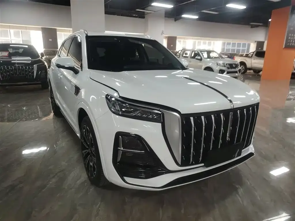Hongqi HS5 2023 из CN, фото 7