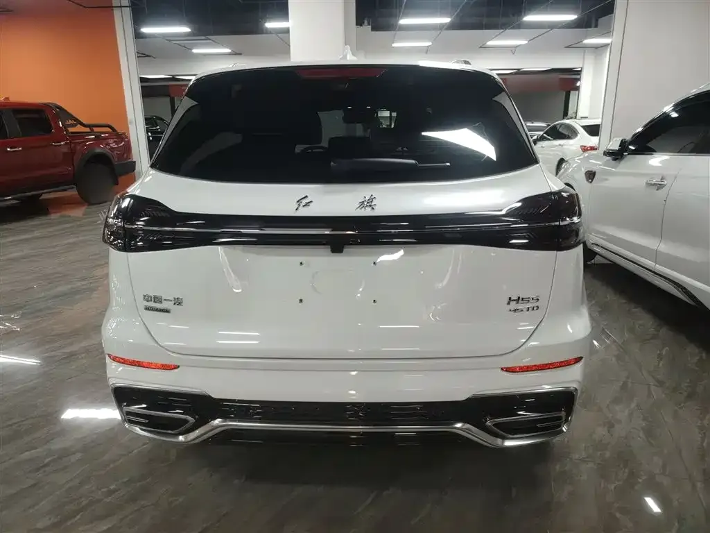 Hongqi HS5 2023 из CN, фото 6