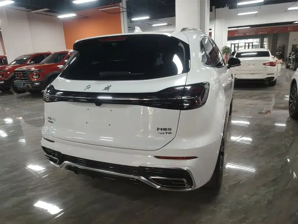 Hongqi HS5 2023 из CN, фото 8
