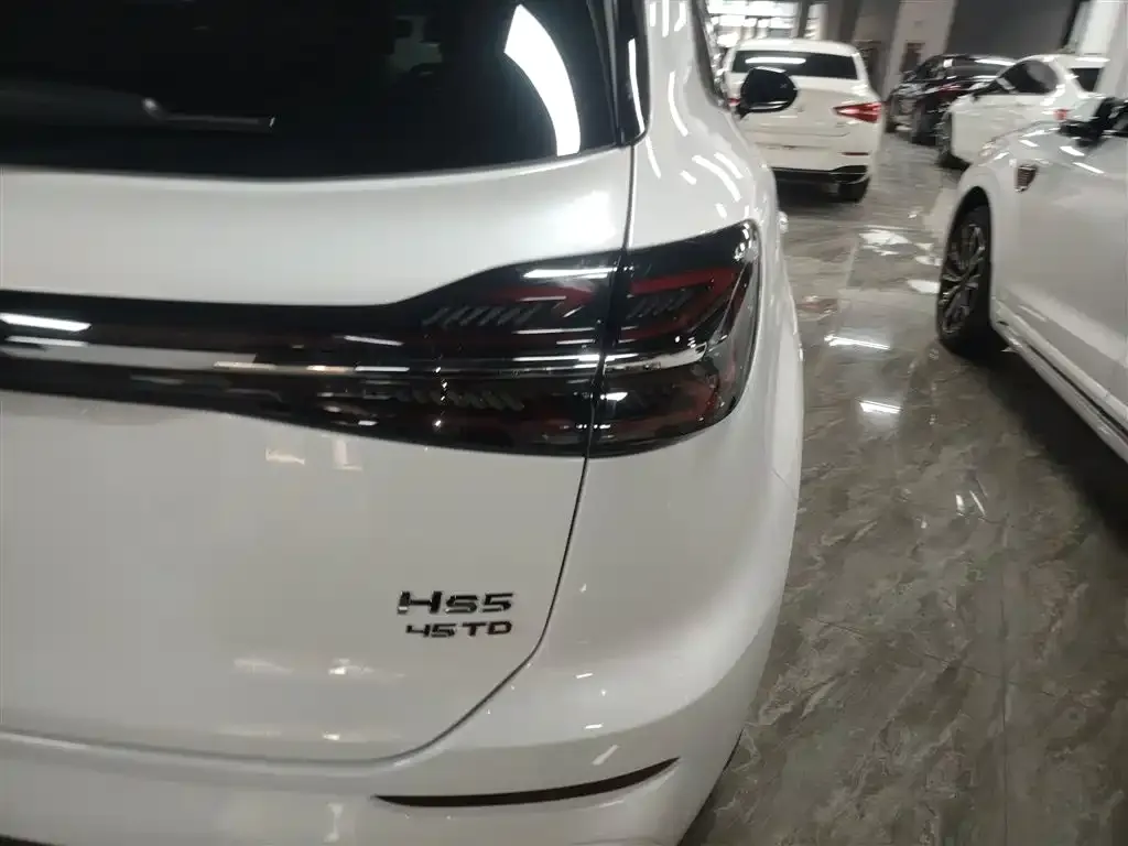 Hongqi HS5 2023 из CN, фото 2