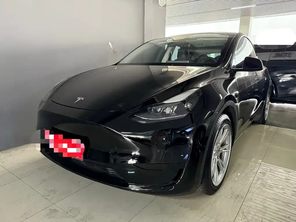 Tesla Model Y 2022 из CN, фото 1