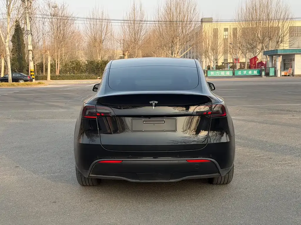 Tesla Model Y 2022 из CN, фото 5