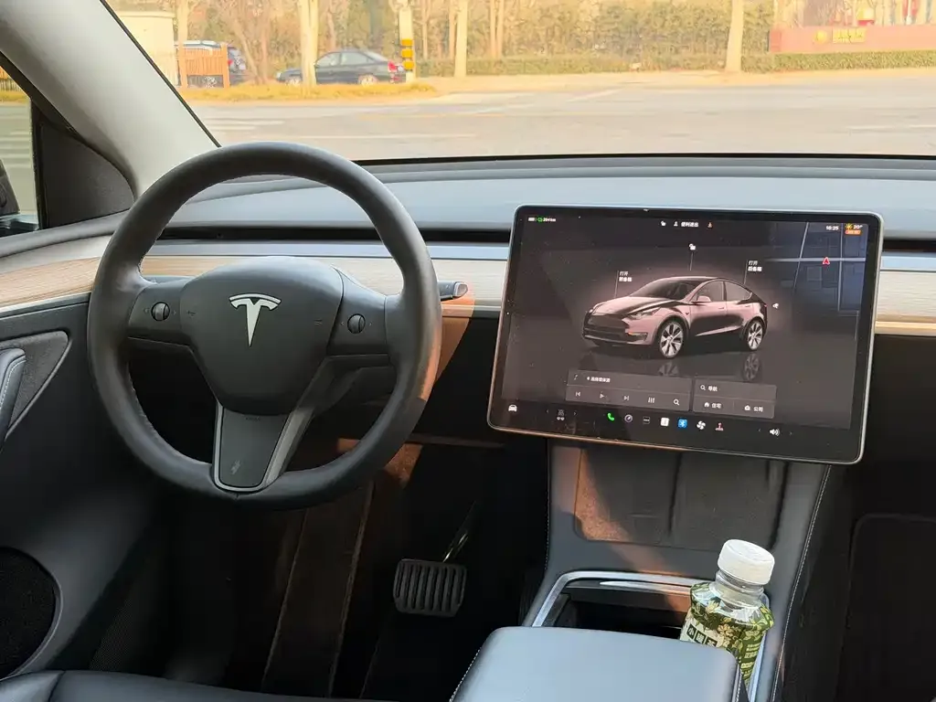 Tesla Model Y 2022 из CN, фото 3