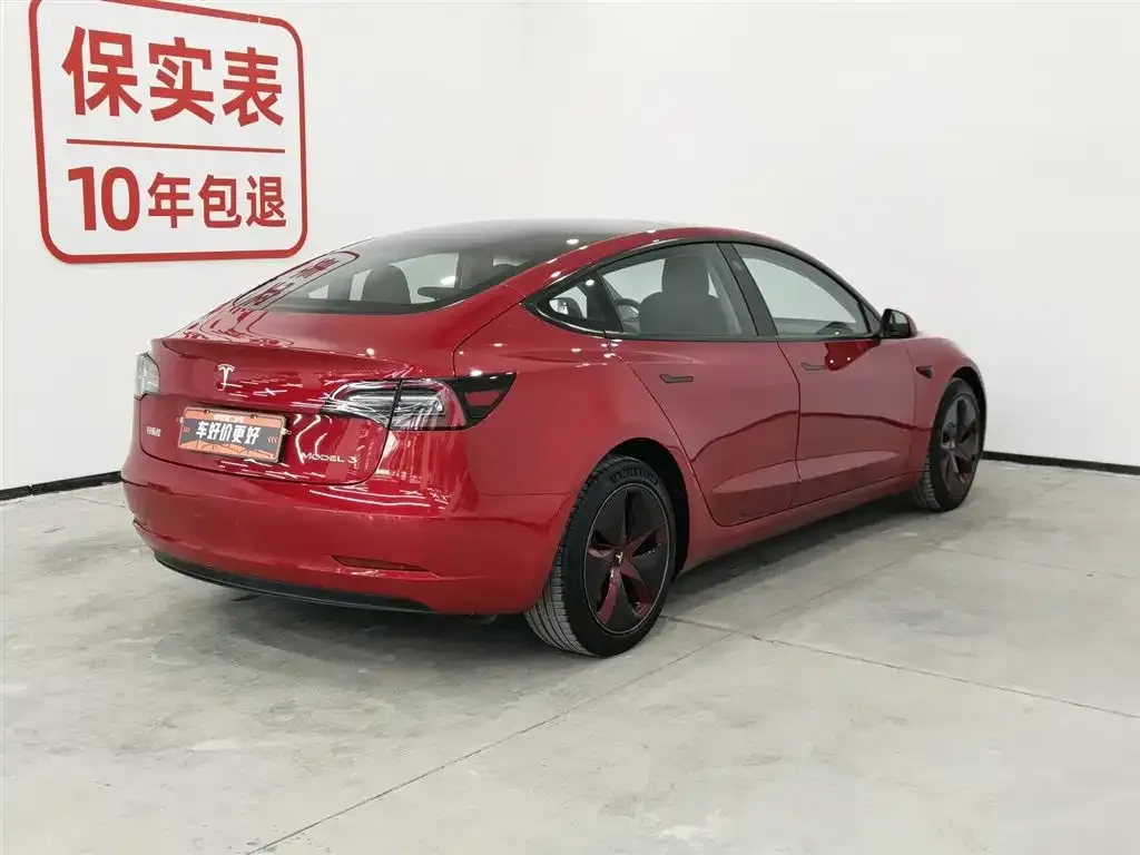 Tesla Model 3 2021 из CN, фото 3