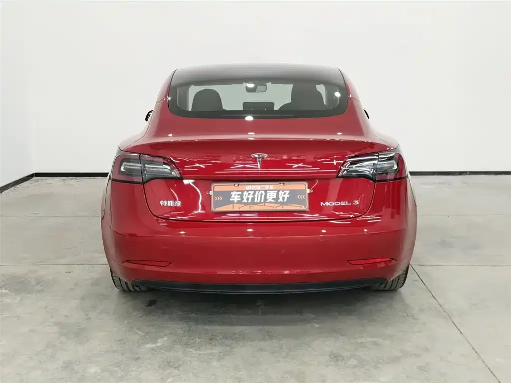 Tesla Model 3 2021 из CN, фото 8