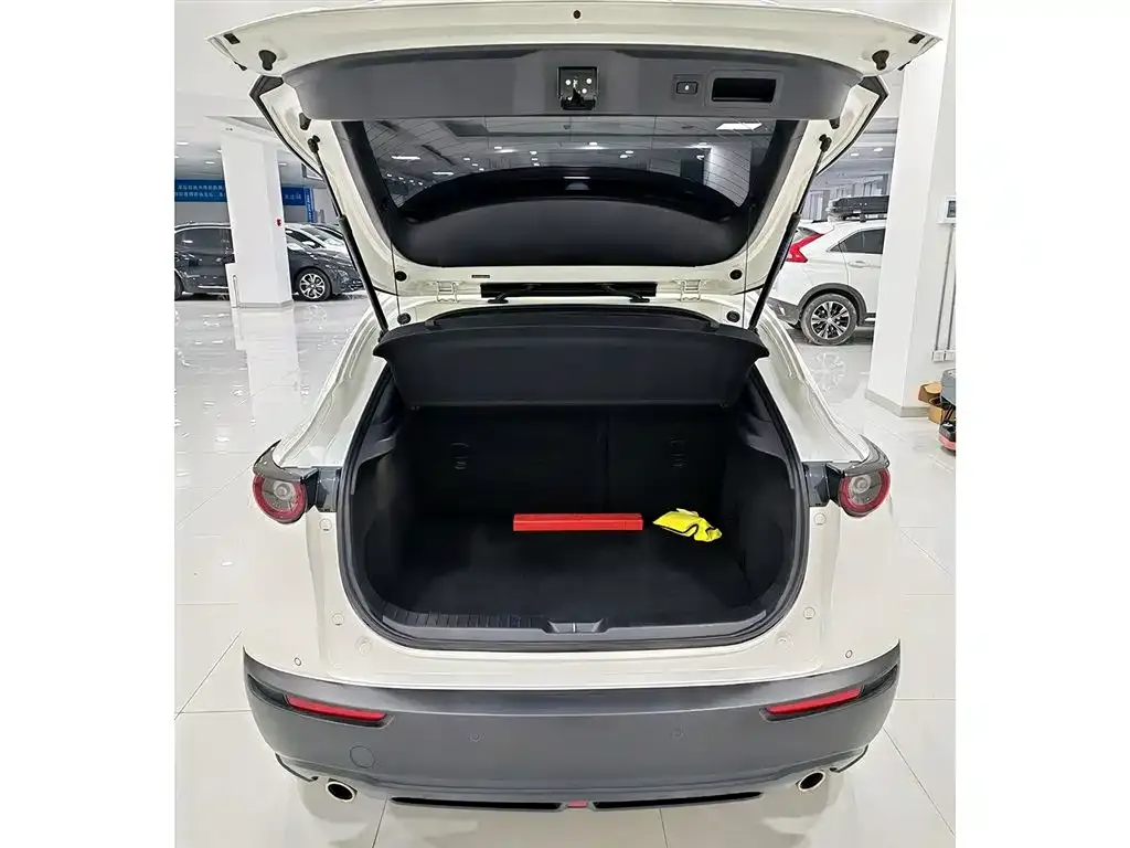 Mazda CX-30 2023 из CN, фото 5