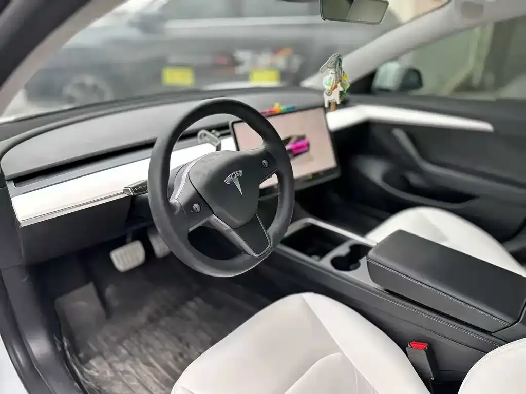 Tesla Model 3 2022 из CN, фото 3