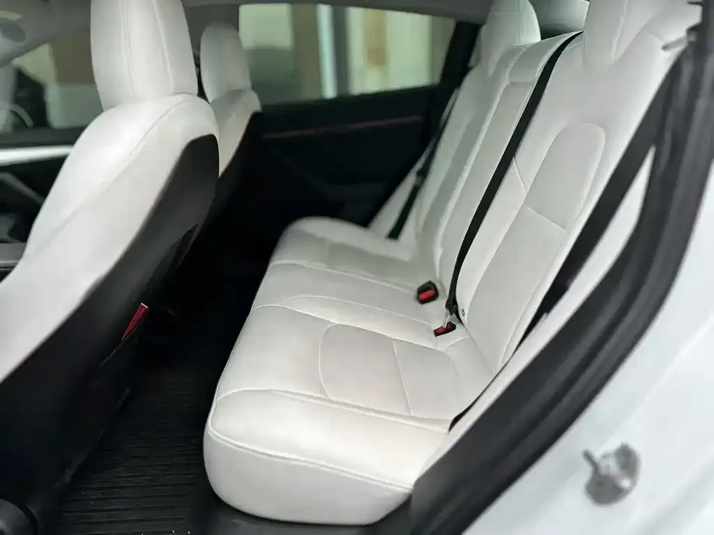 Tesla Model 3 2022 из CN, фото 5