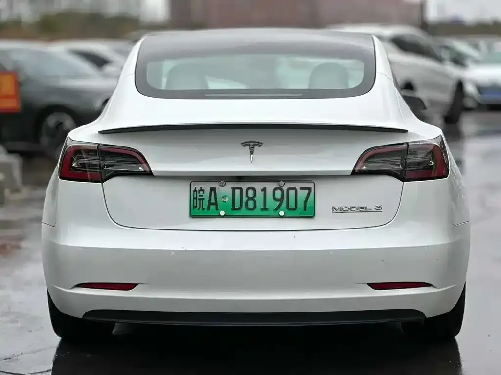 Tesla Model 3 2022 из CN, фото 6