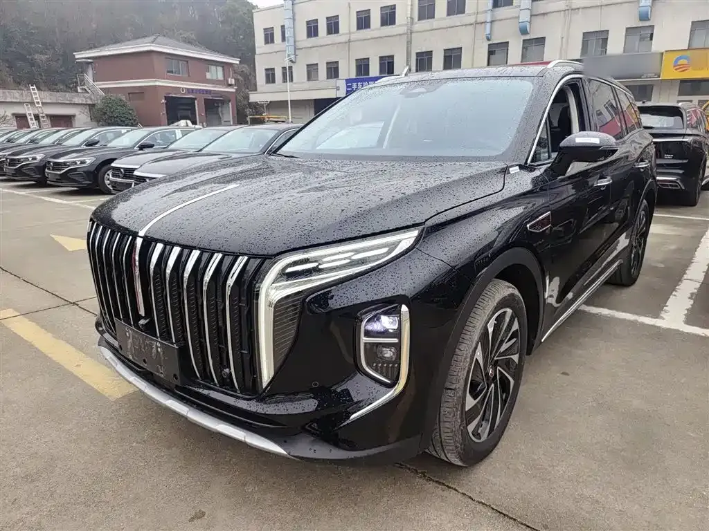 Hongqi HS7 PHEV 2024 из CN, фото 1